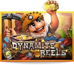 Dynamite reels LIVE22
