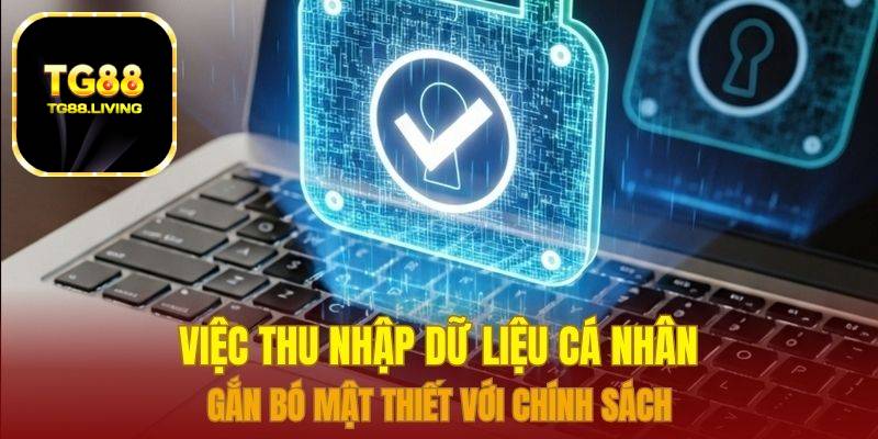 Việc thu nhập dữ liệu cá nhân gắn bó mật thiết với chính sách